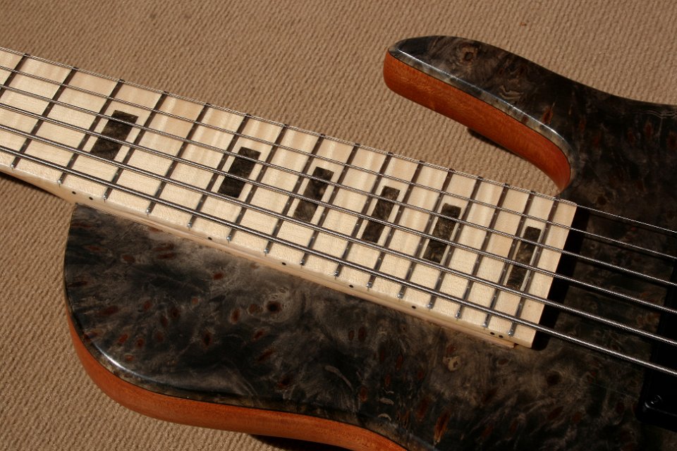 SC6 Buckeye Burl - Price 4000€
